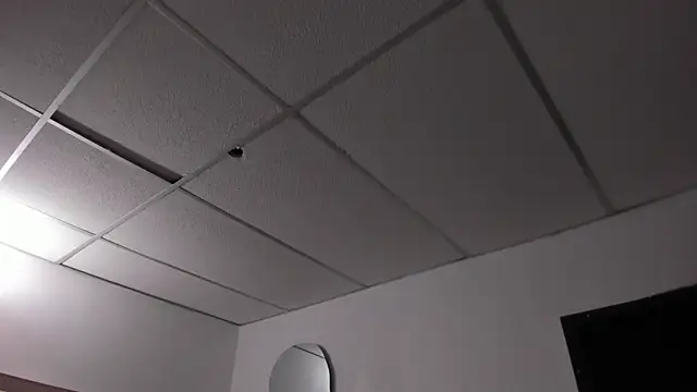honeyhtx webcam