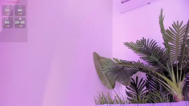 stephanymonroe webcam