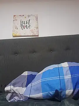 sivi22 webcam
