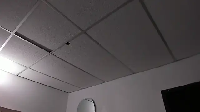 honeyhtx webcam