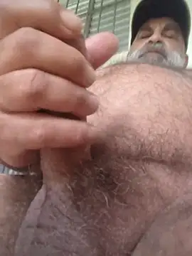 Peludo173317 webcam