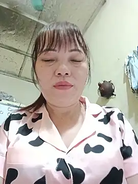 Sana-vn webcam