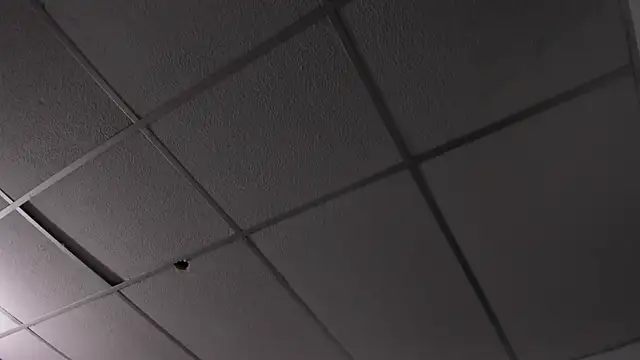 honeyhtx webcam