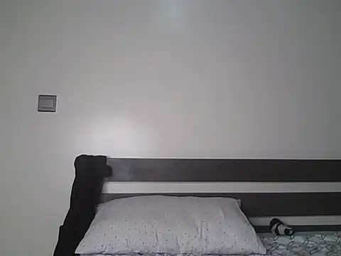 Alevic_ webcam