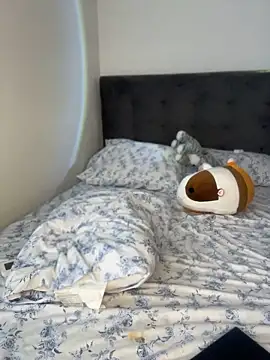lost_wood19 🦖 live online webcam