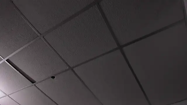honeyhtx live cam on StripChat
