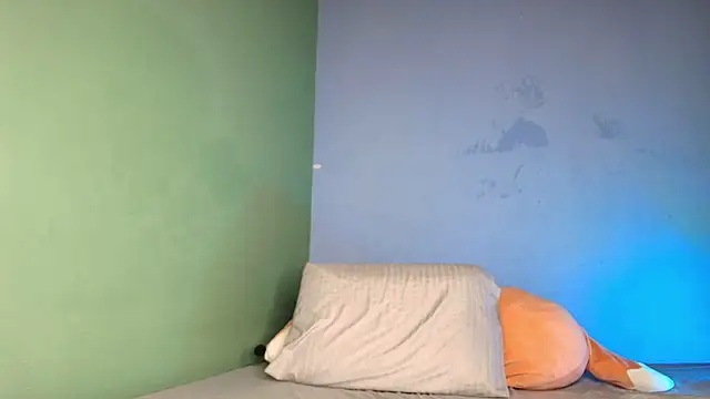 hey_maya webcam