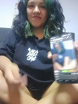 sivi22 webcam