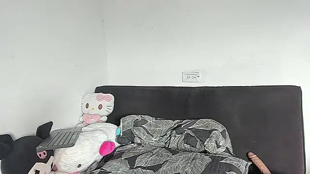 Eirlysx webcam