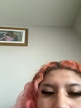 puchibad webcam