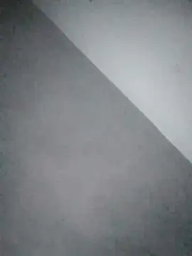 Baese-lsedd webcam