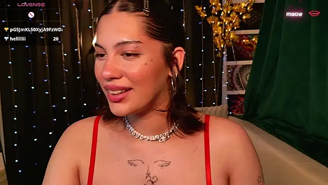 lora_meow webcam