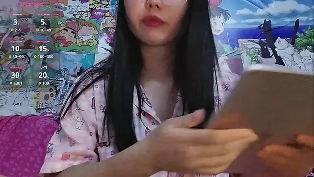 vvvan2026 webcam