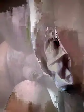 slicks86 webcam