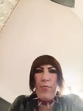 VelvetMansionHQ webcam