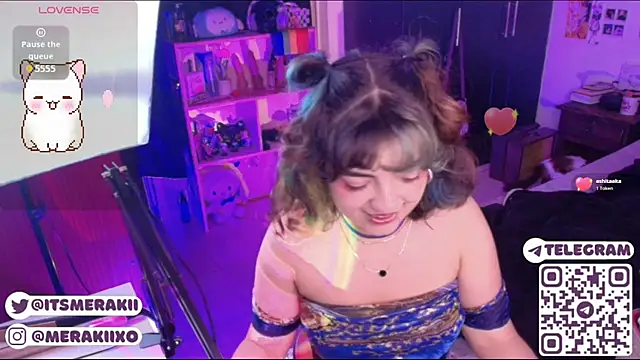 meraki_fraise webcam