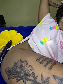 Drippincaty webcam