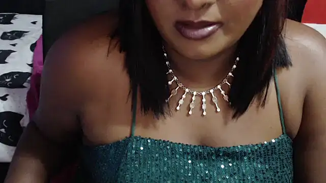 INDIANSIN2 webcam