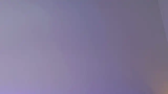 GentleMusee webcam