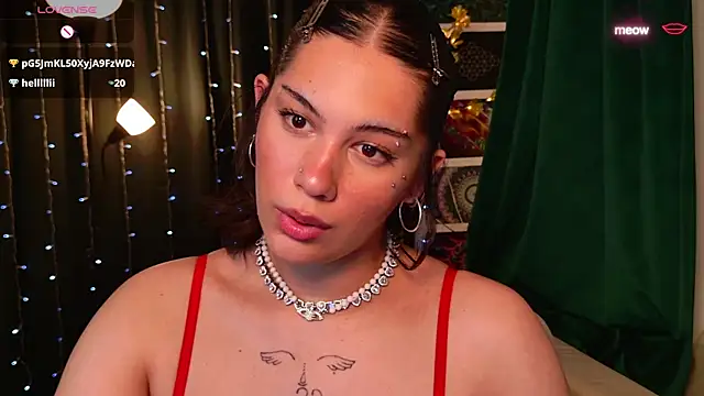 lora_meow webcam