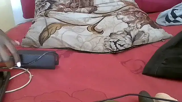 dimphow30 webcam