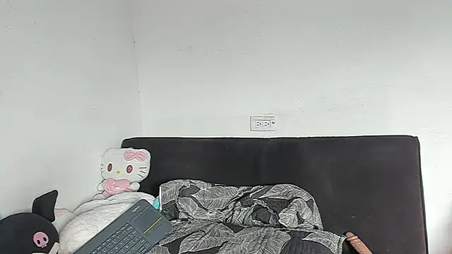 Eirlysx webcam