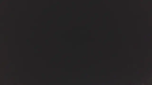 Check-Mate webcam