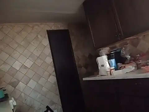 UrBRat webcam