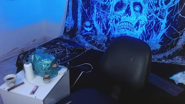 mikaskullcs webcam
