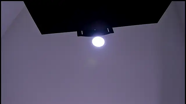 ambarasm webcam