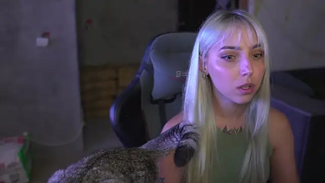 lis_silver webcam