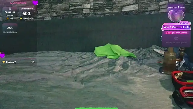 th1_ webcam