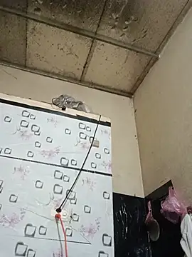 Sana-vn webcam