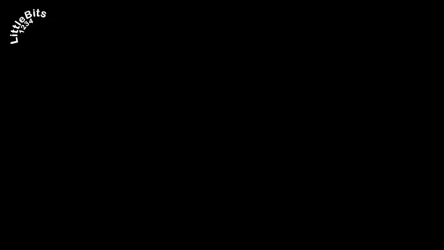 Littlebits1234 webcam
