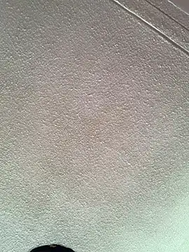 Tinniforwor webcam