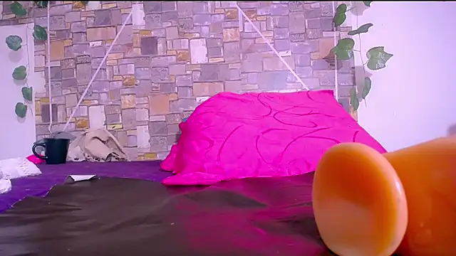 MaidenGame webcam