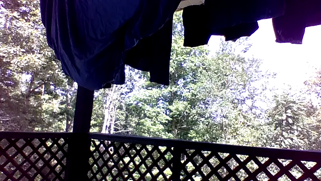 Ashphroditegemini webcam