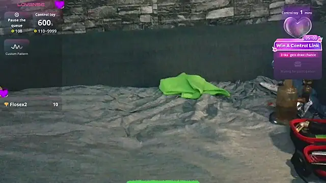 th1_ webcam