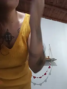 Melinerd webcam