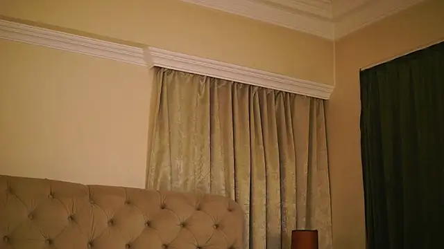 AvaOnyx webcam