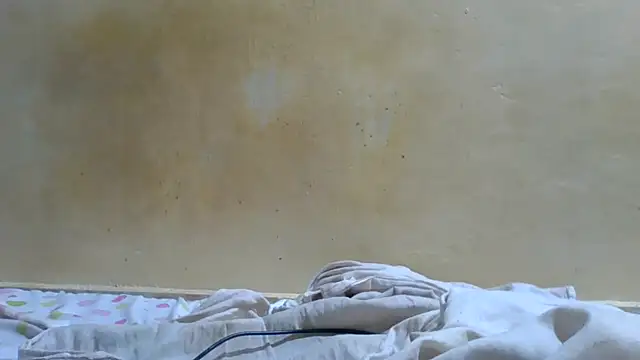 Cozybear webcam