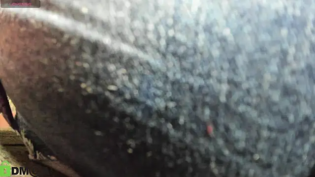 SofiRoce