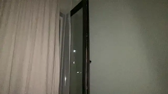 Rineliadi webcam