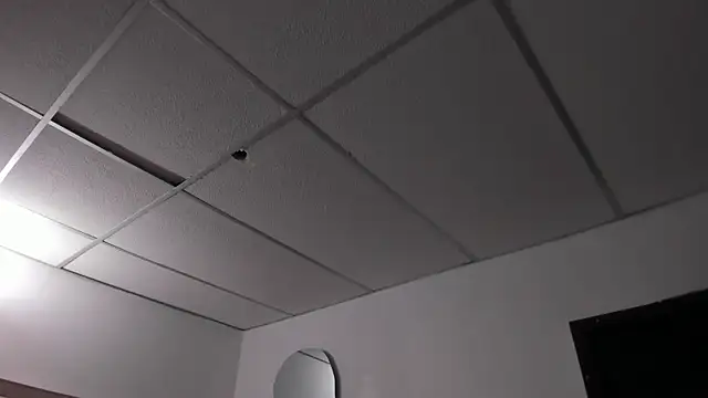 honeyhtx webcam