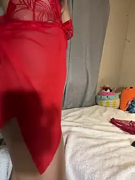 Linaroby webcam