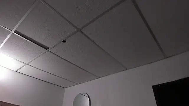 honeyhtx live cam on StripChat