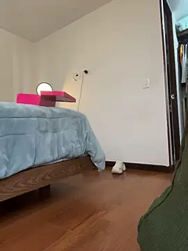 Belkaj webcam