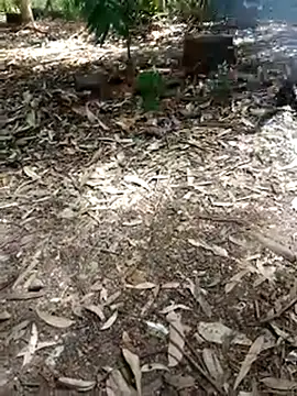 MrStreetGuy's live cam