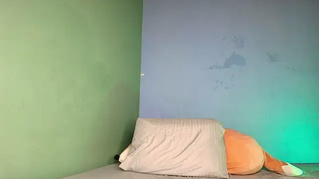 hey_maya webcam