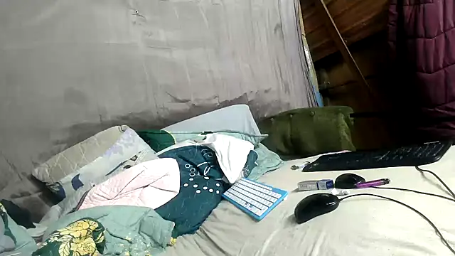Camodick webcam